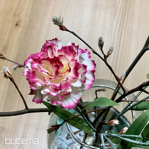 CLAVEL rosa y blanco