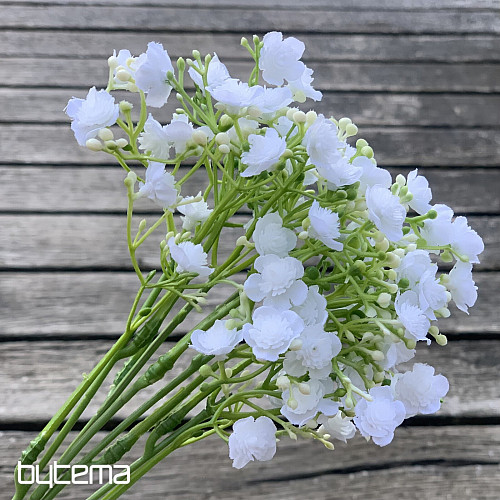 SPRAY DE YESO BLANCO
