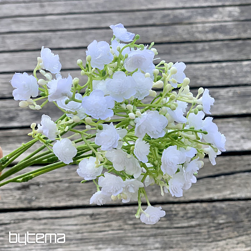SPRAY DE YESO BLANCO