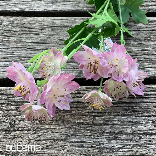 FLOR SILVESTRE ROSA