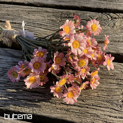 MANZANILLA ROSA