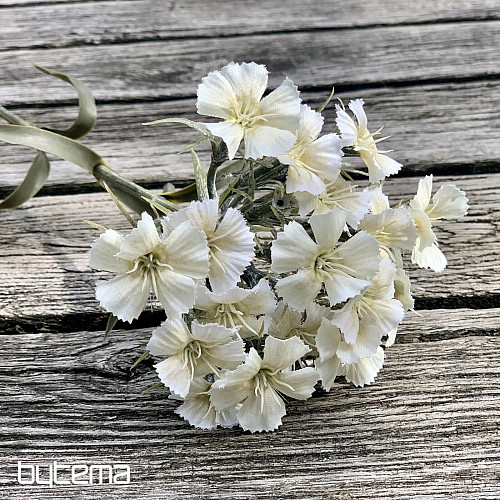 CLAVEL BLANCO