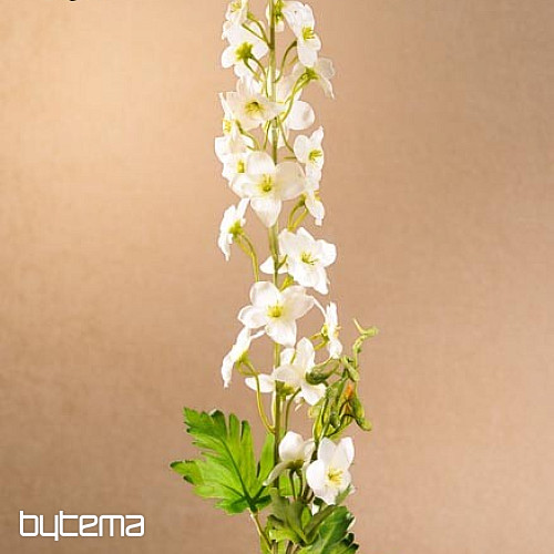 DELFINIO BLANCO