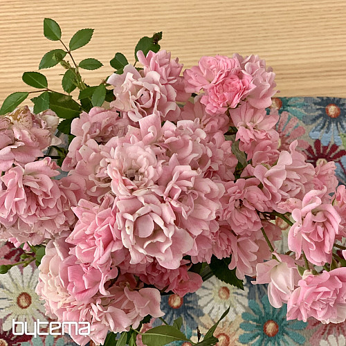 Mantel individual tapiz DAISY