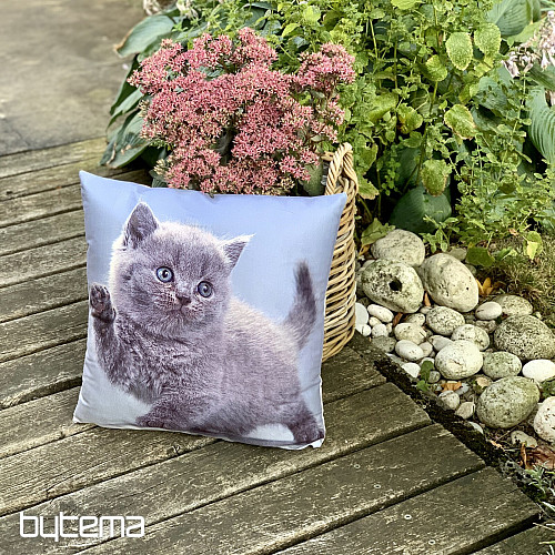 Funda decorativa KITTY