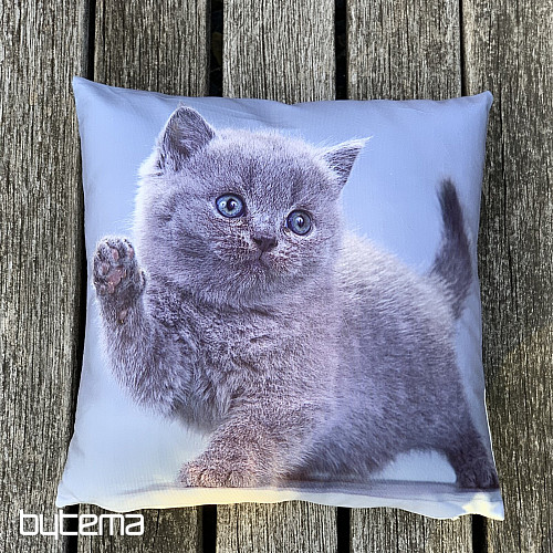 Funda decorativa KITTY