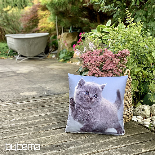 Funda decorativa KITTY