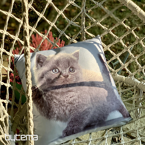 Funda decorativa KITTY