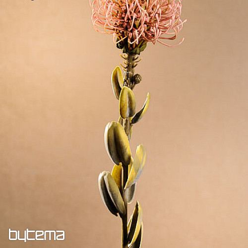 PROTEA ROSA PEQUEÑA SECA
