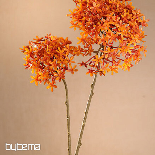 FLOR DE CORONA SECA DE NARANJA