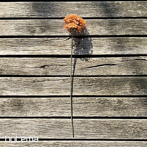 FLOR DE CORONA SECA DE NARANJA
