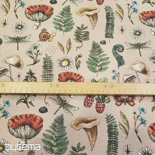 Tela decorativa OTOÑO EN EL BOSQUE