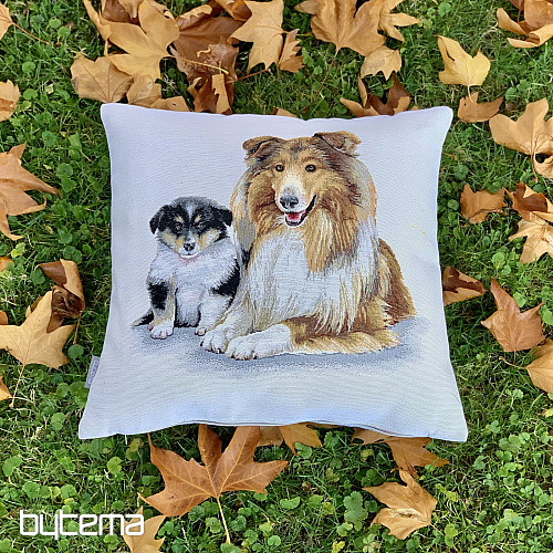 Tapiz con la portada de Collie y cachorro