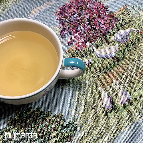 Mantel y bufanda de tapiz VENKOV