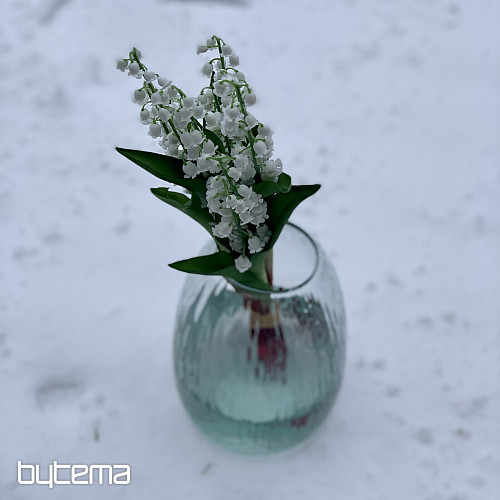 LIRIO DE LA LARGA VIDA