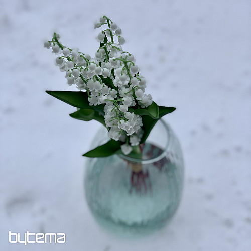 LIRIO DE LA LARGA VIDA