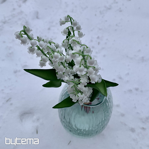 LIRIO DE LA LARGA VIDA