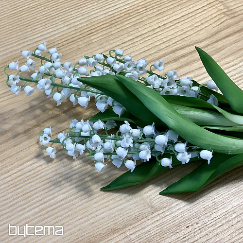 LIRIO DE LA LARGA VIDA