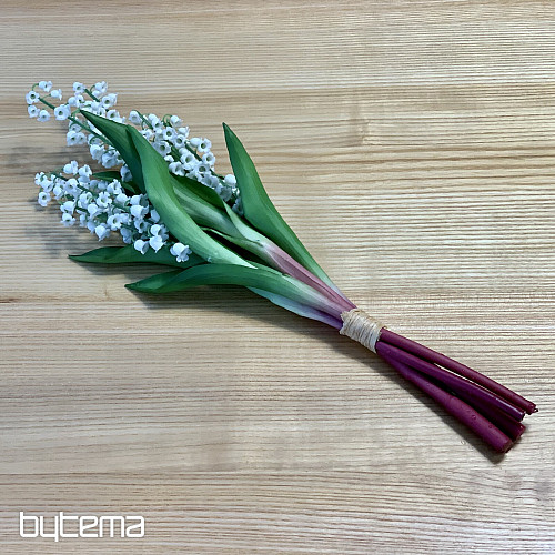 LIRIO DE LA LARGA VIDA