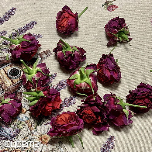 Mantel y bufanda tapiz BIRDHOUSE