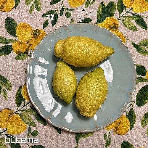 Plato ALENTEJO 27 cm turquesa
