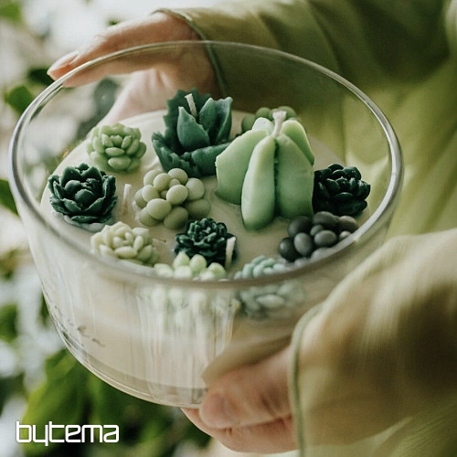 Vela aromática de flores BOTANIKA con cactus
