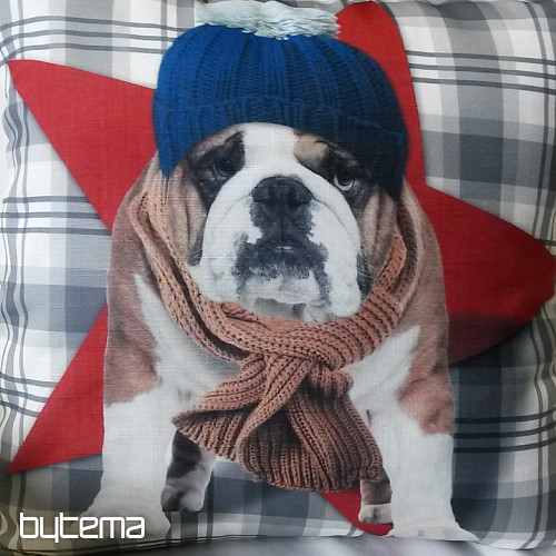 Funda de almohada decorativa HARRY EL BULLDOG 2