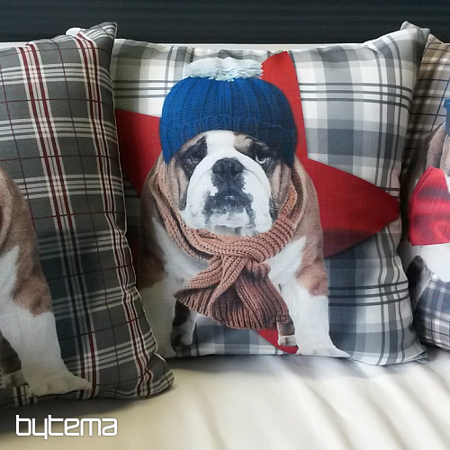 Funda de almohada decorativa HARRY EL BULLDOG 2