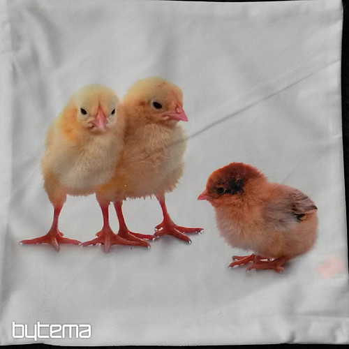 Funda de almohada decorativa POLLO