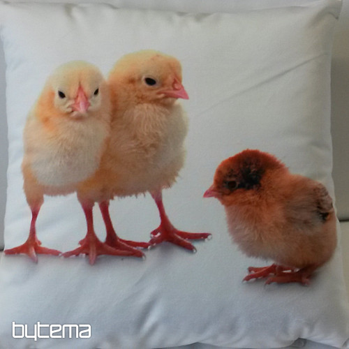 Funda de almohada decorativa POLLO