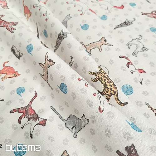 Tela decorativa GATOS