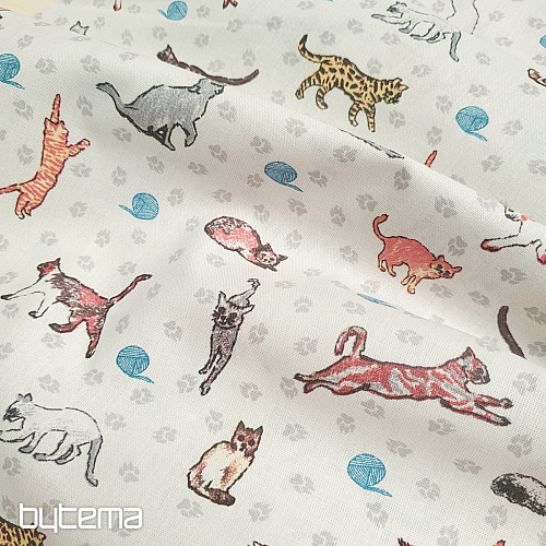 Tela decorativa GATOS