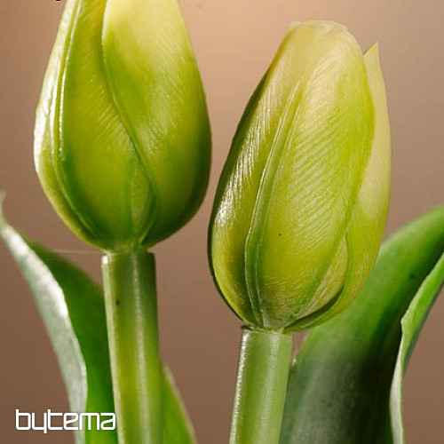 Mezcla de colores de tulipanes.