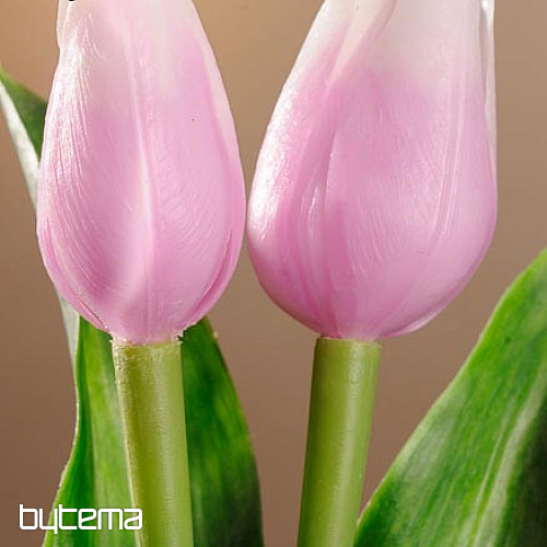 Mezcla de colores de tulipanes.