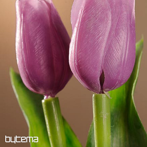 Mezcla de colores de tulipanes.