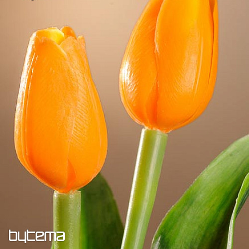 Mezcla de colores de tulipanes.