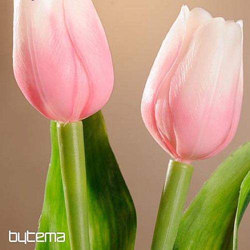 Mezcla de colores de tulipanes.