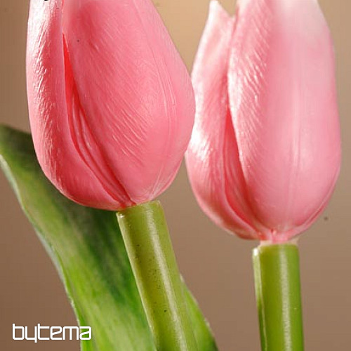 Mezcla de colores de tulipanes.