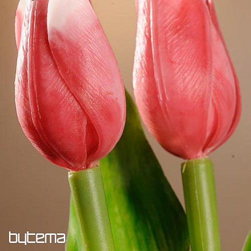Mezcla de colores de tulipanes.