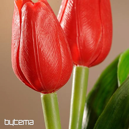 Mezcla de colores de tulipanes.