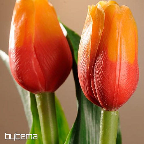 Mezcla de colores de tulipanes.