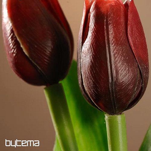 Mezcla de colores de tulipanes.