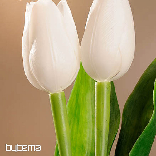 Mezcla de colores de tulipanes.