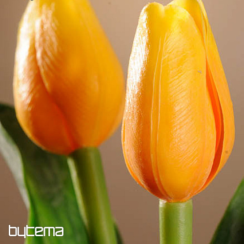 Mezcla de colores de tulipanes.
