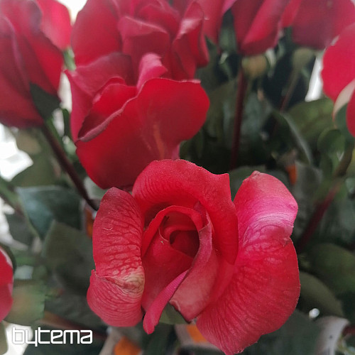 Capullo de rosa rojo 70 cm