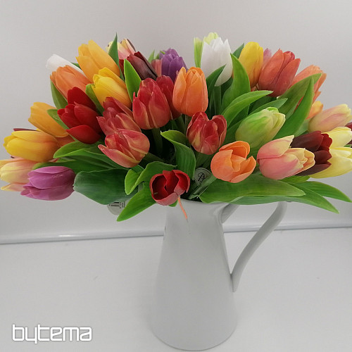 Mezcla de colores de tulipanes.