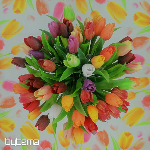 Mezcla de colores de tulipanes.