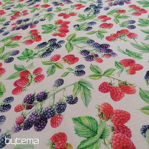 Tela decorativa Frambuesas y moras